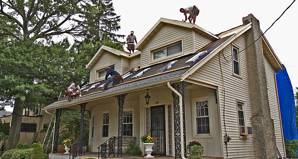 Best Roofing Contractor Near Me  in Gibsonville, NC